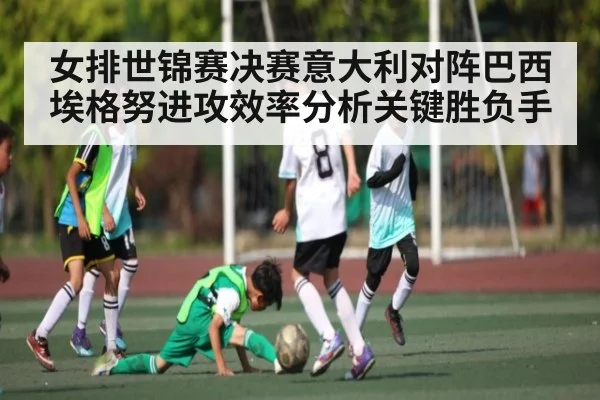 女排世锦赛决赛意大利对阵巴西埃格努进攻效率分析关键胜负手（NG28）