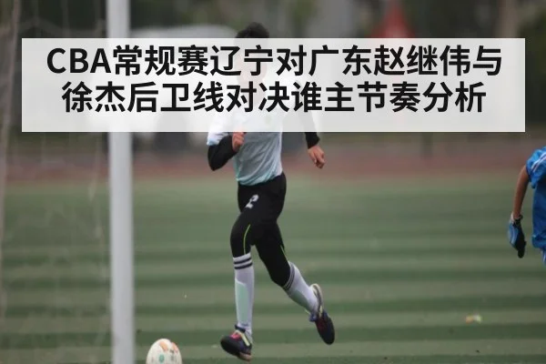 CBA常规赛辽宁对广东赵继伟与徐杰后卫线对决谁主节奏分析 - NG28