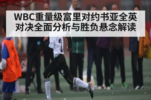 WBC重量级富里对约书亚全英对决全面分析与胜负悬念解读 - NG28