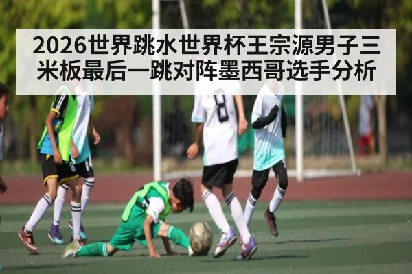 2026世界跳水世界杯王宗源男子三米板最后一跳对阵墨西哥选手分析 - NG28